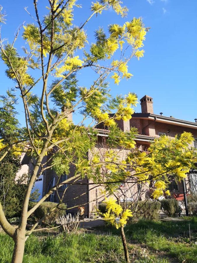 B&B Casa Dei Camini Бентиволио Екстериор снимка